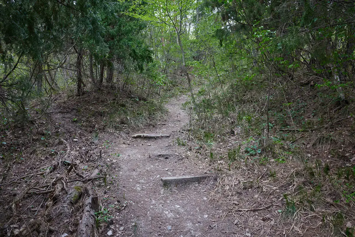 地附山登山 急なところには階段