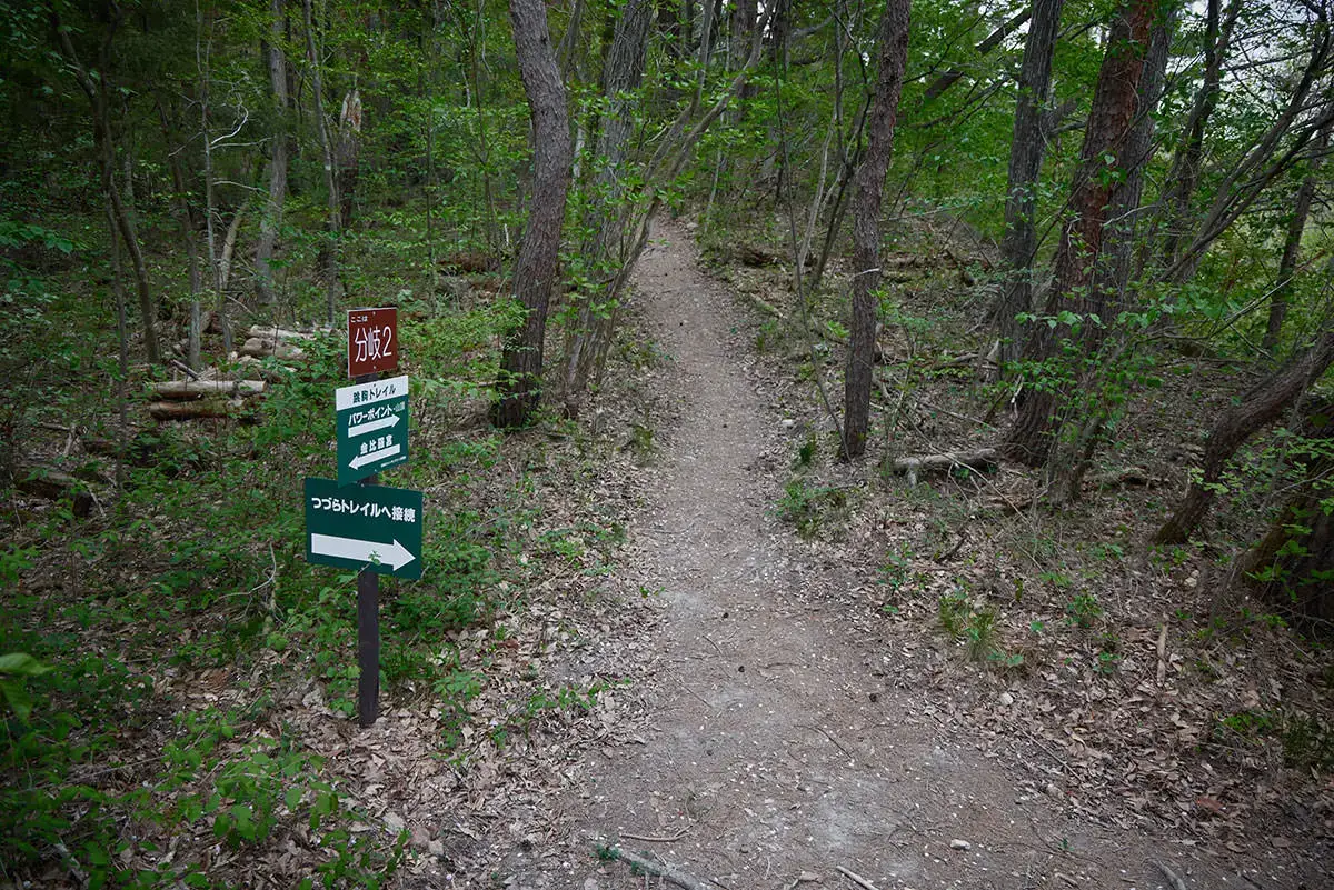 地附山登山 地附山公園からのコースと合流