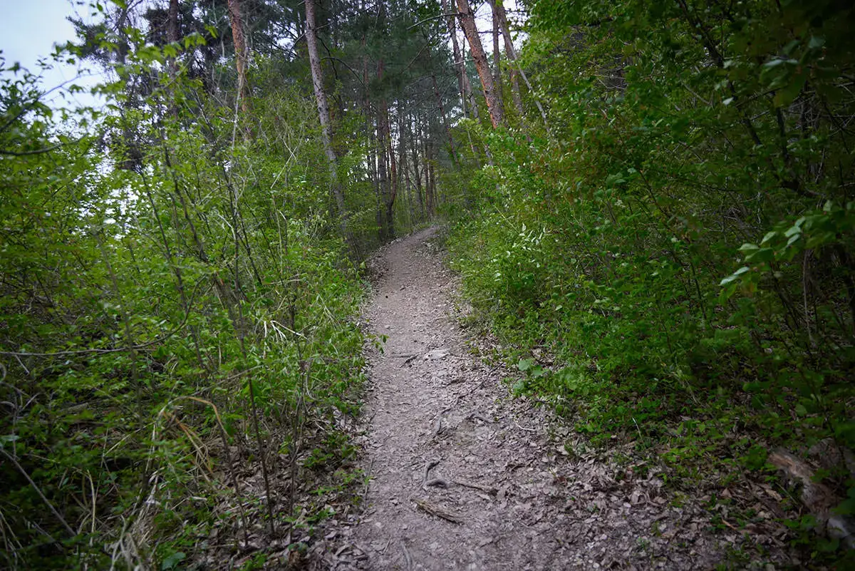 地附山登山 少し登る