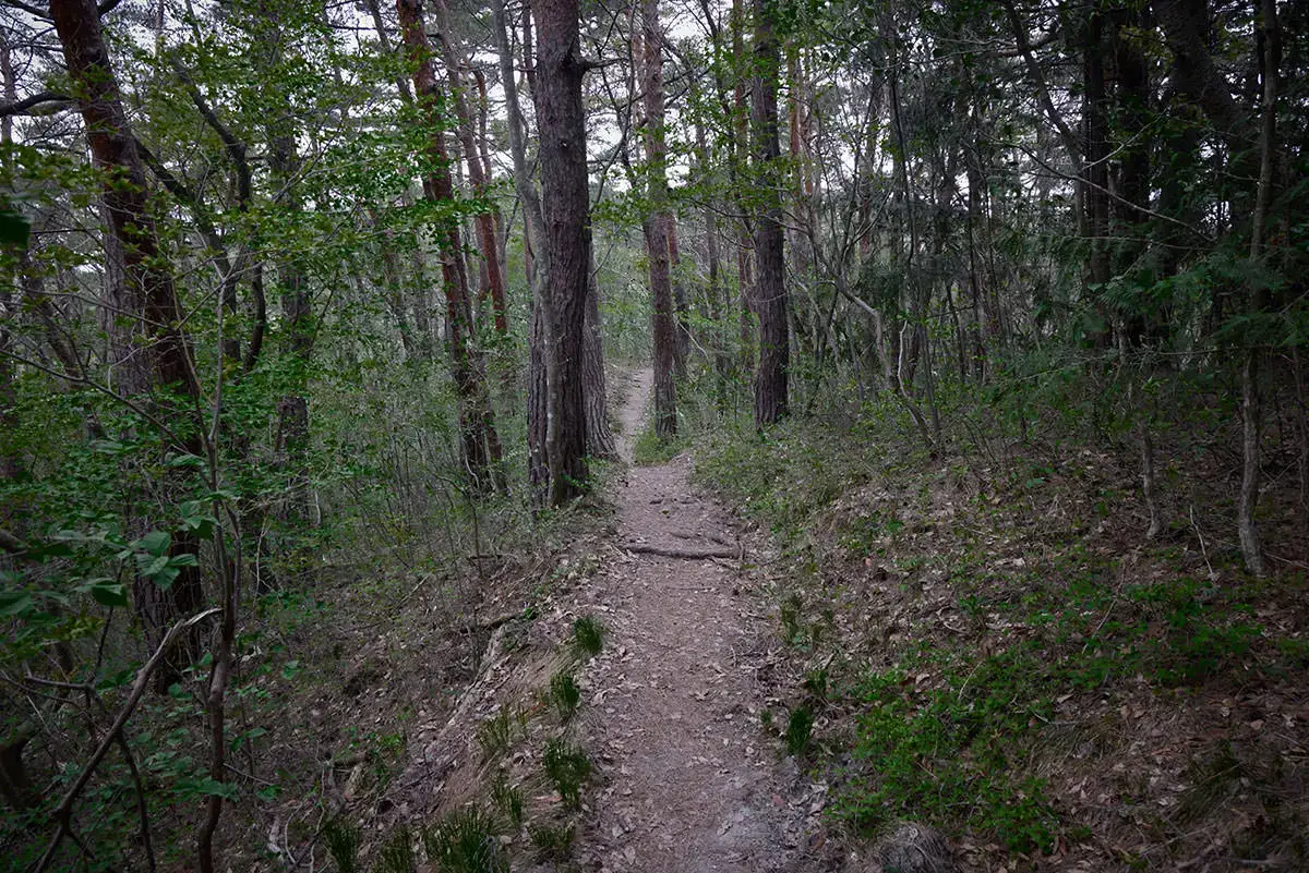 地附山登山 山頂へ行く