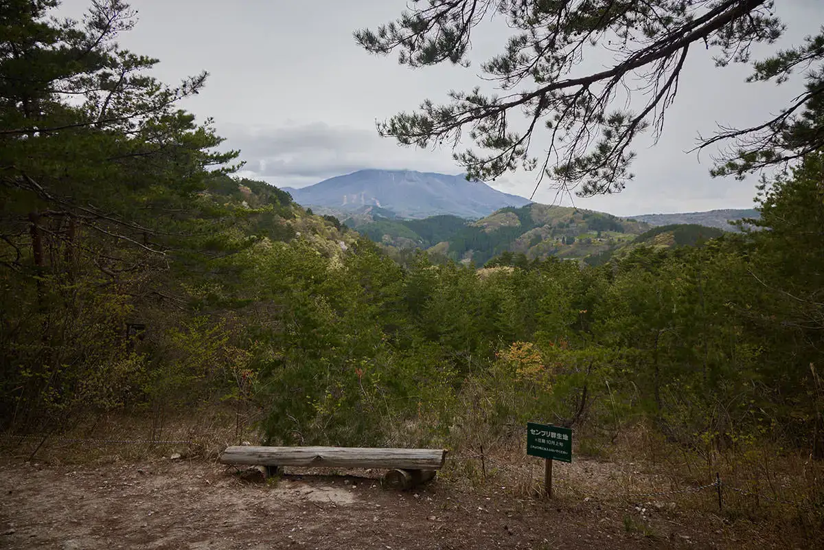 地附山登山 ゲレンデの跡地