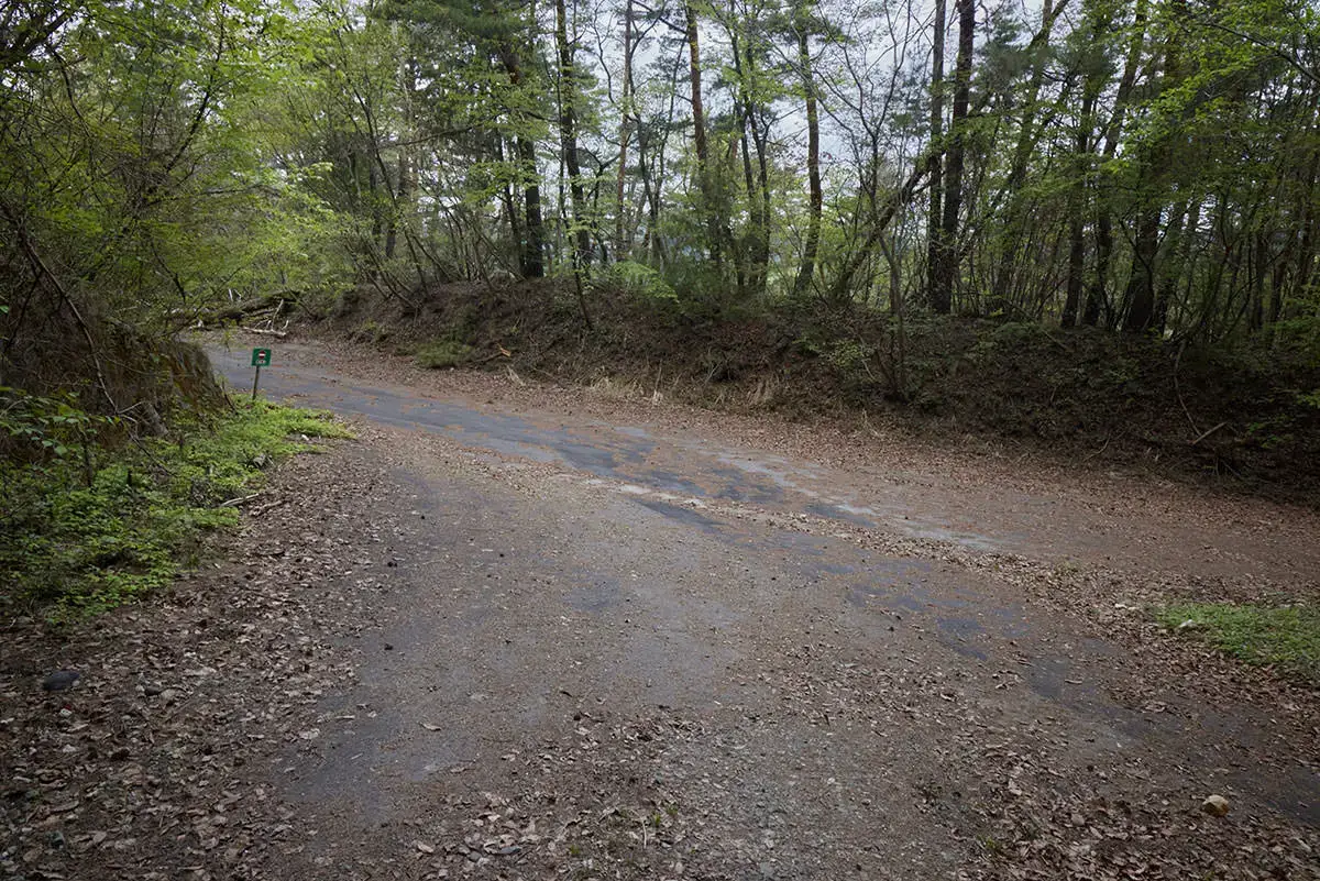 地附山登山 旧バードラインに出た