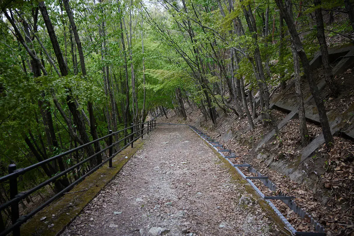 地附山登山 地附山公園へ向かって下りる