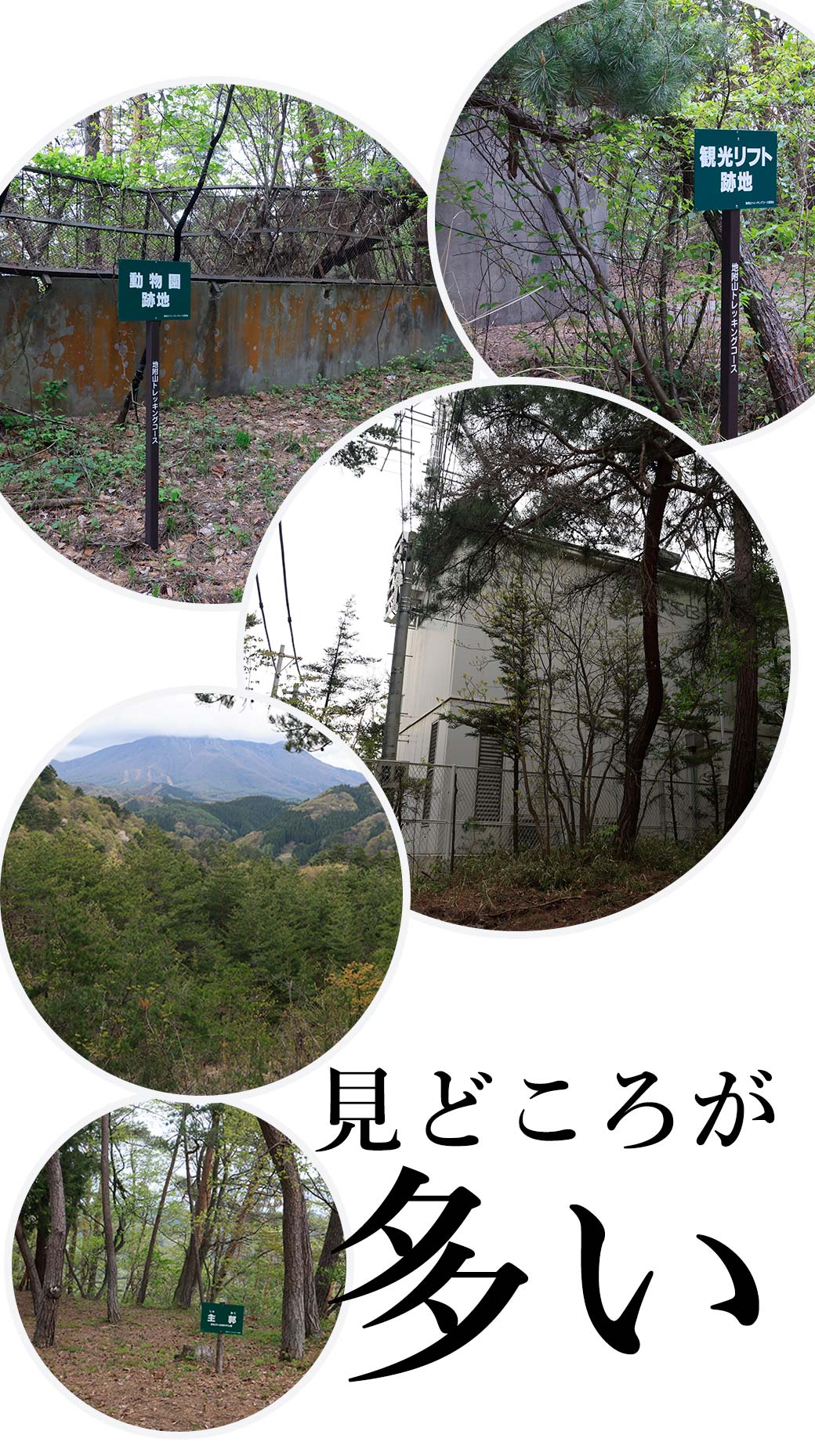 地附山 跳駒トレイル