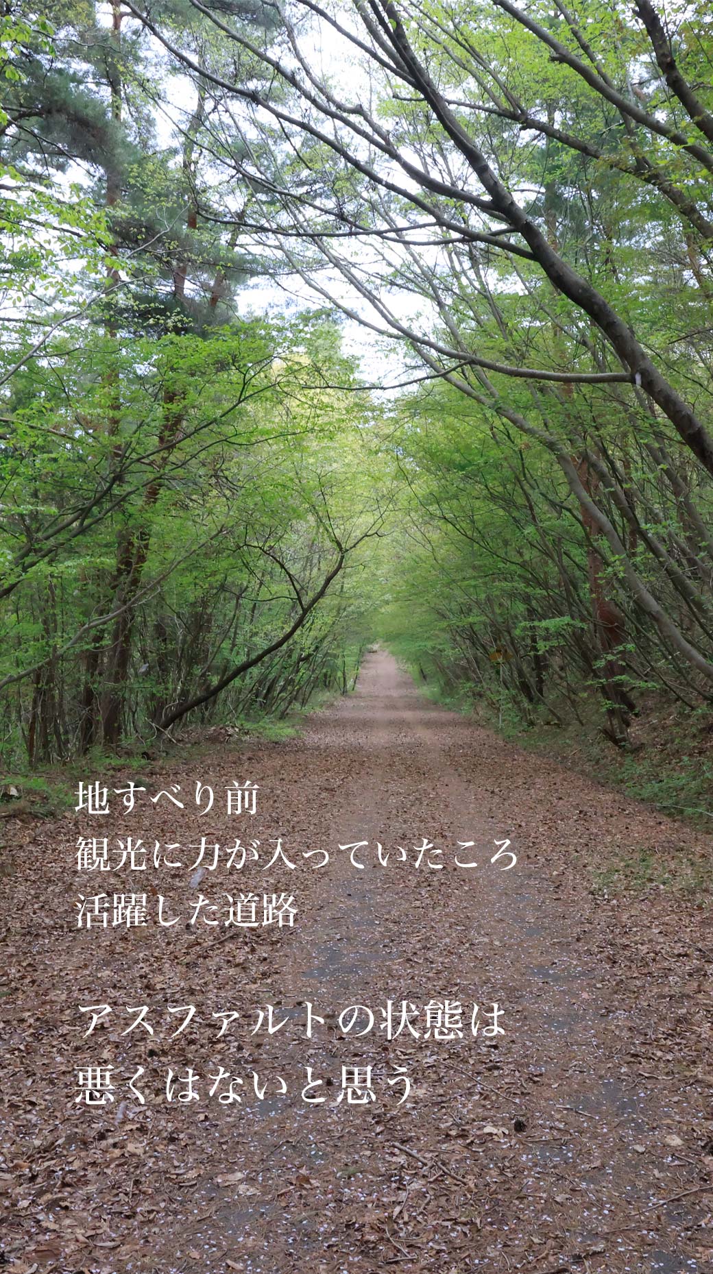 地附山 跳駒トレイル