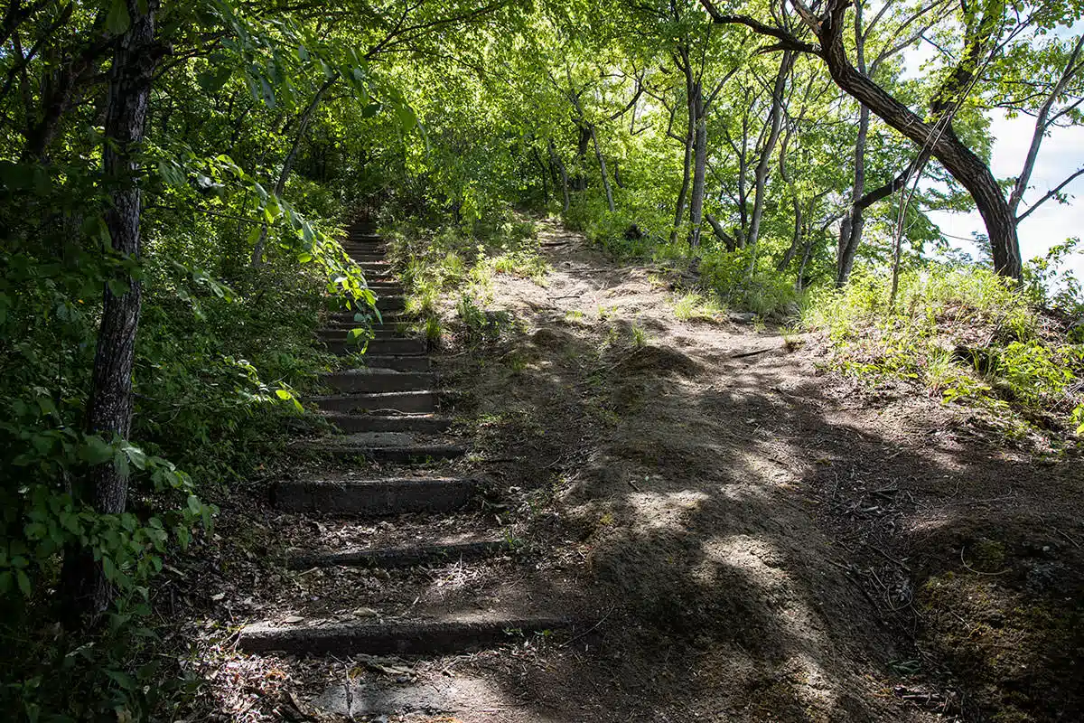 【明覚山登山】明覚山-歩きやすそうな斜面と階段が真っ直ぐに続く