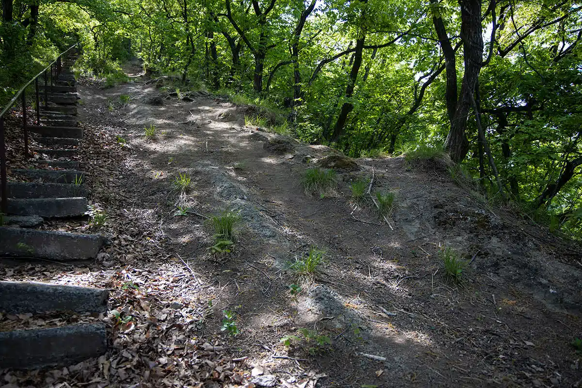 【明覚山登山】明覚山-階段の横には歩きやすそうな急斜面