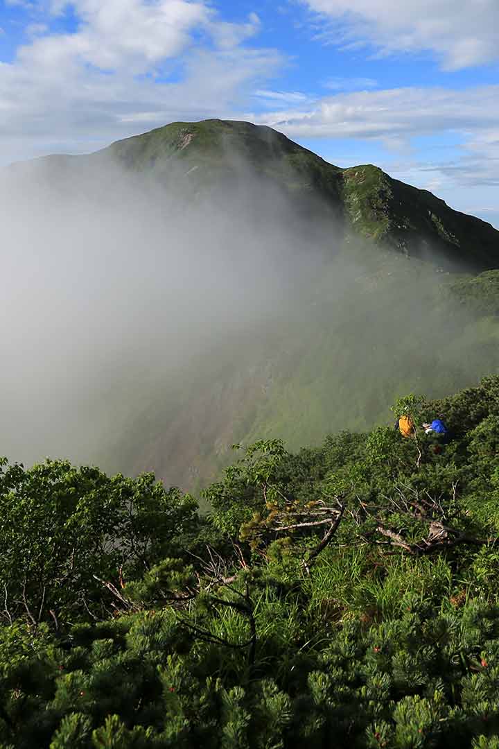 上河内岳 登山（椹島） （7月）｜雲海が広がる南アルプスの眺望を見る二百名山