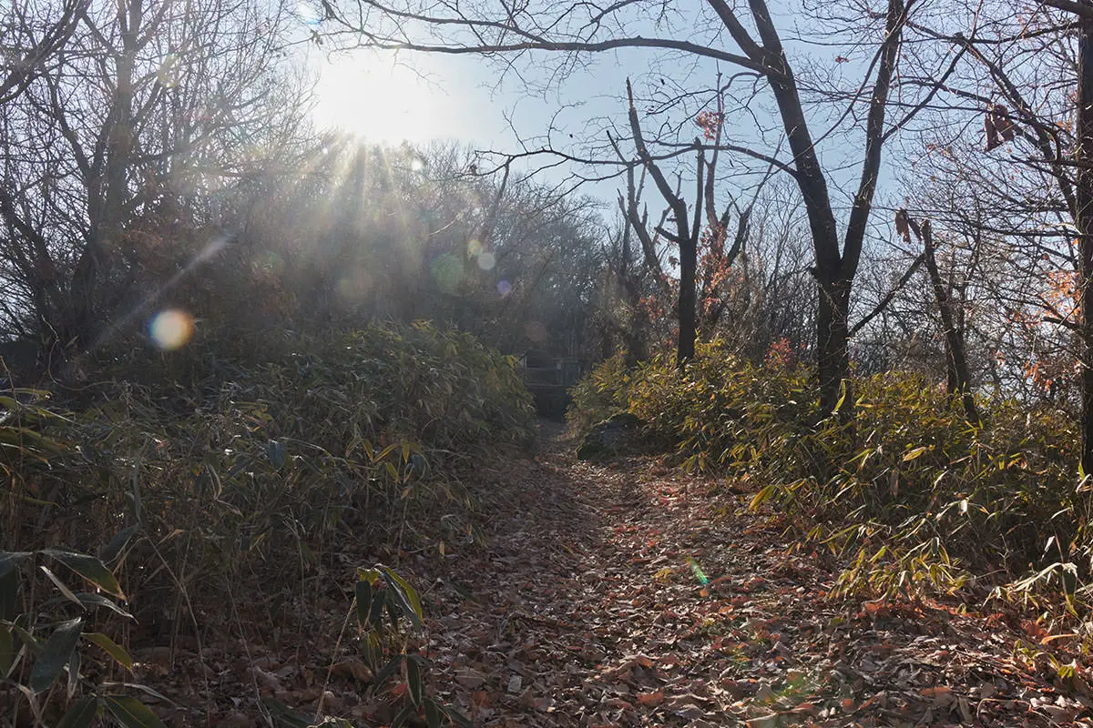 奇妙山登山 登ったら平坦な道が少し