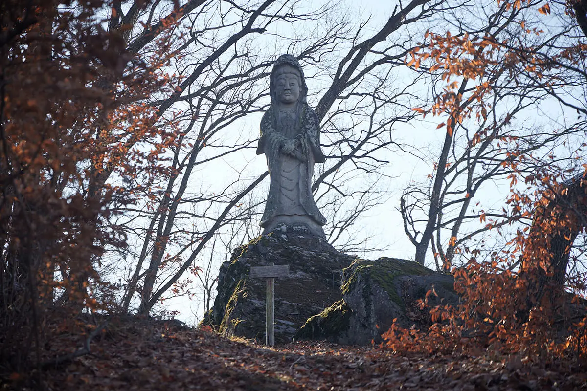 奇妙山登山 金井山平和観世音がこっちを見ている