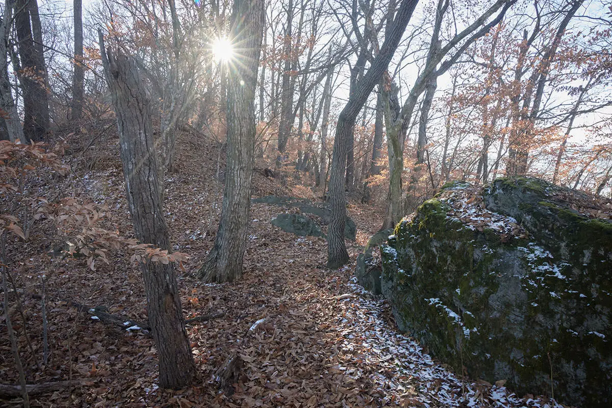 奇妙山登山 遊歩道はここで終わり