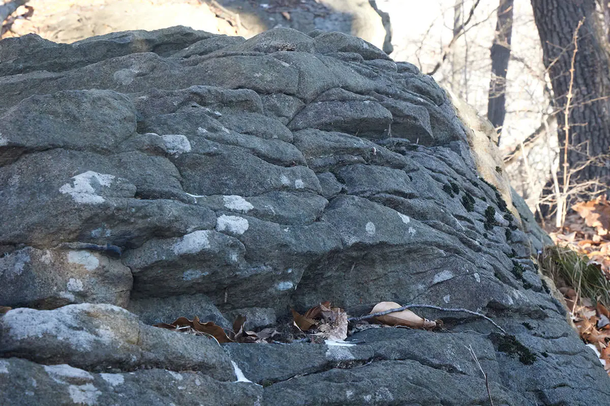 奇妙山登山 石がいっぱい