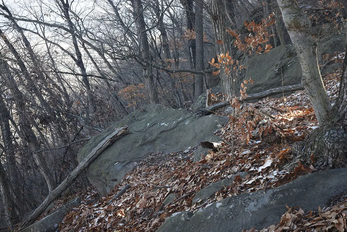 奇妙山登山 あちこちに石