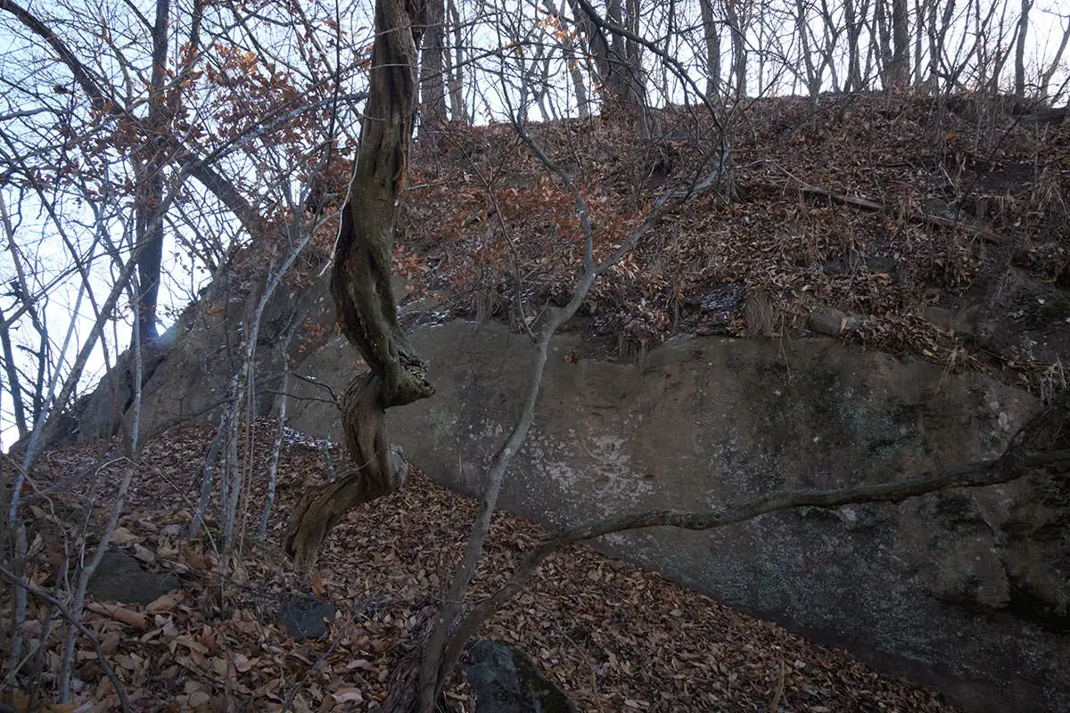 奇妙山登山 この巨石も曲輪の跡みたいな雰囲気