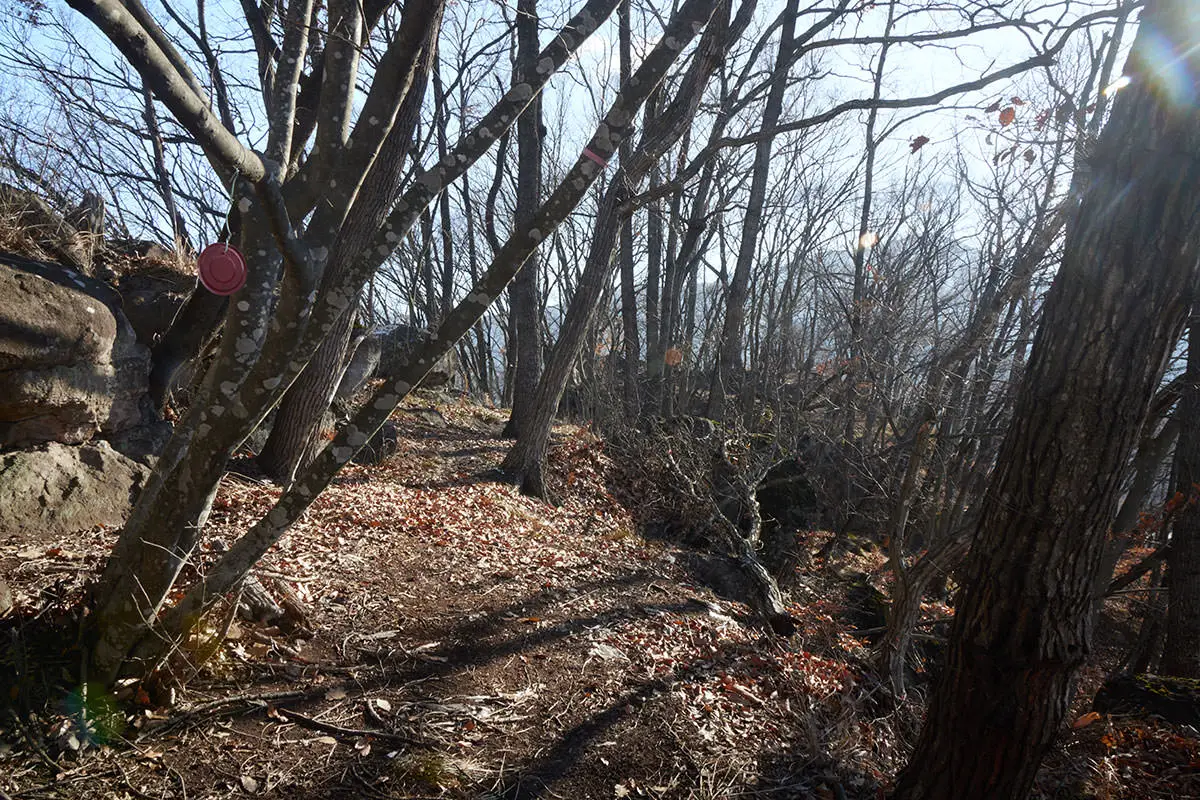 奇妙山登山 奥に山頂部が見えて来た