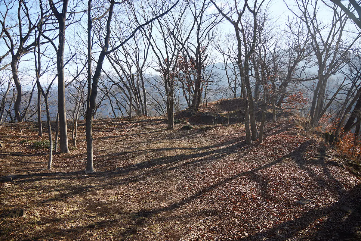 奇妙山登山 金井山の山頂に到着