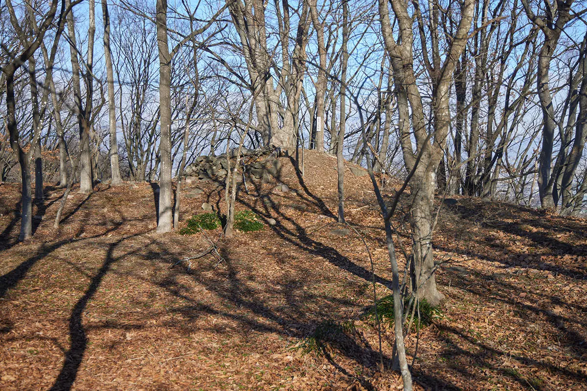 奇妙山登山 山頂部