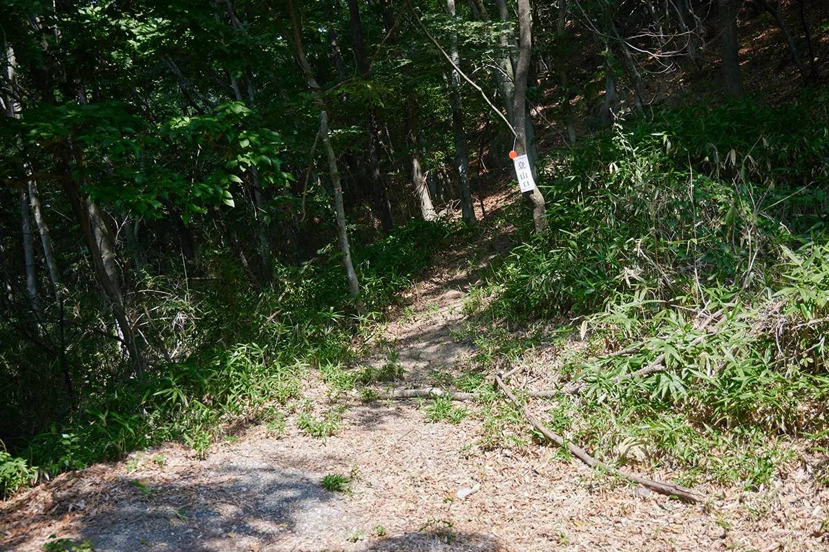 奇妙山登山 ここから登る