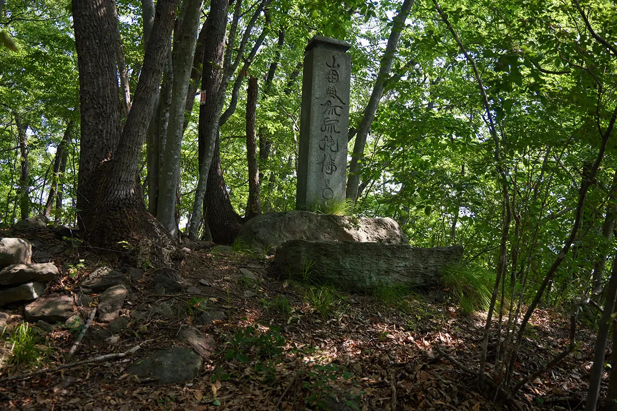奇妙山登山 これが一際大きい