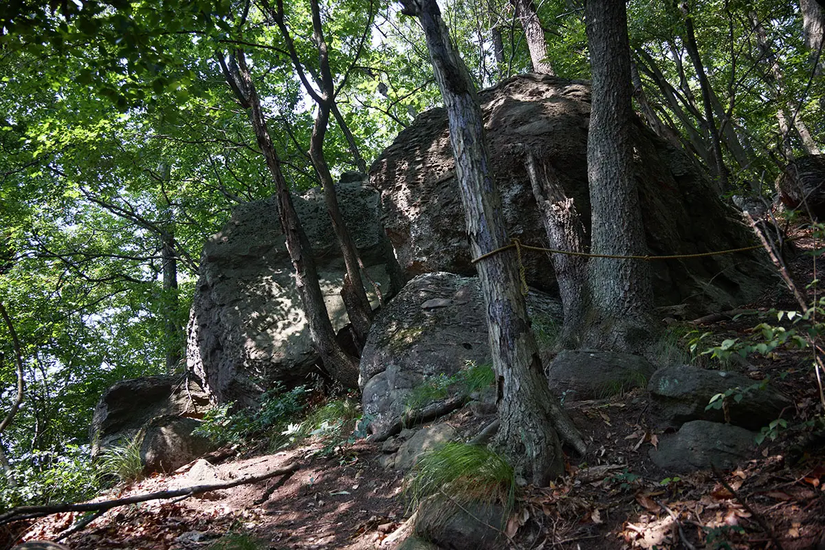 奇妙山登山 巨石がいっぱいるところは金井山らしさ