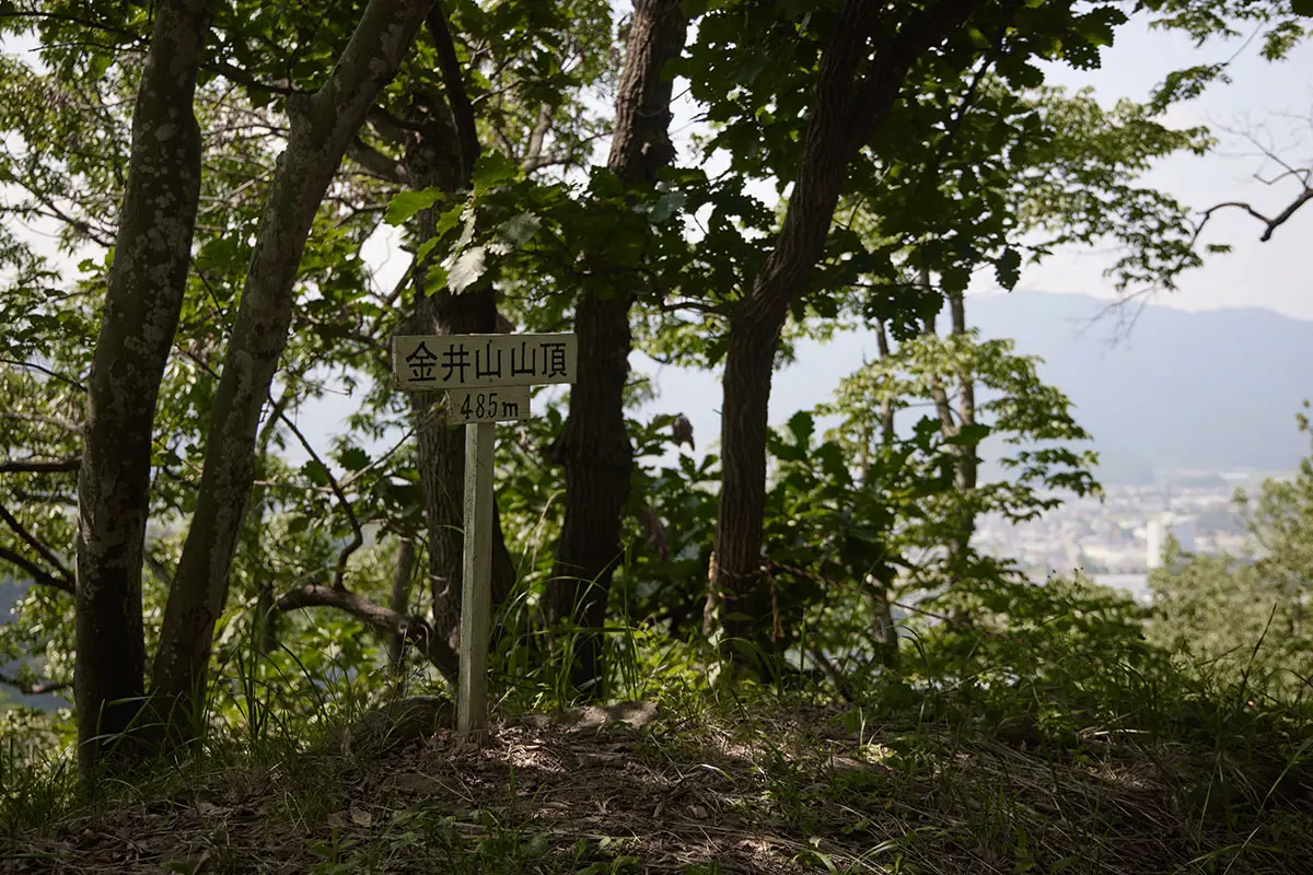 奇妙山登山 金井山の山頂標