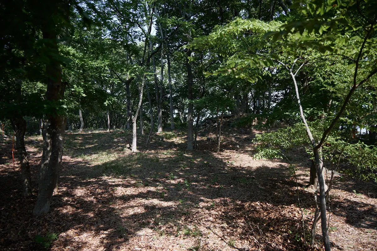 奇妙山登山 山頂部は広い