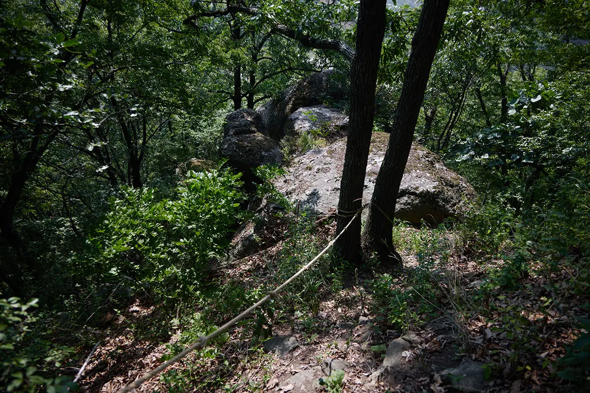 奇妙山登山 下りる