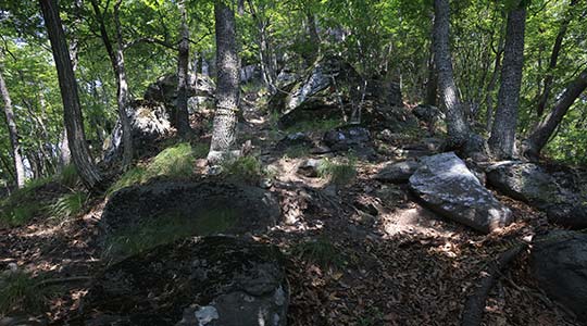 金井山 鳥打峠
