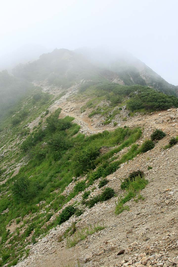 初心者向けの北アルプス唐松岳 （8月）｜八方尾根からの日帰り登山