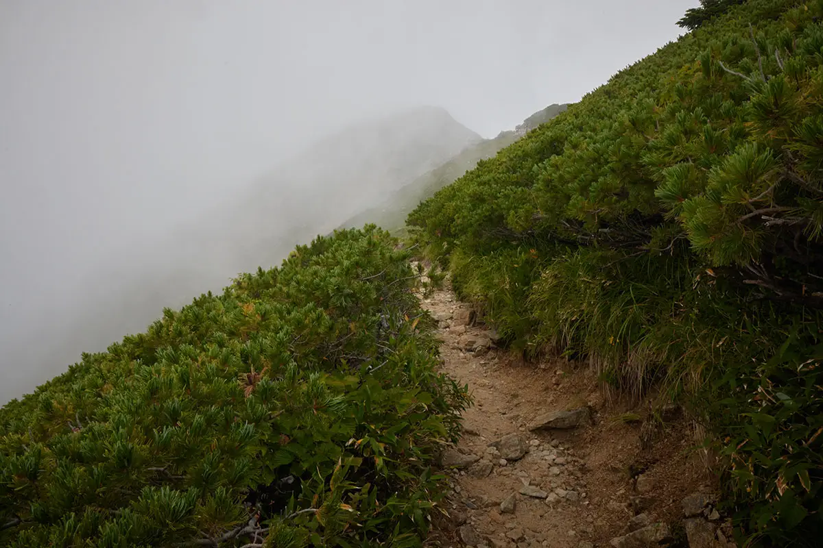 唐松岳登山 先は雲の中