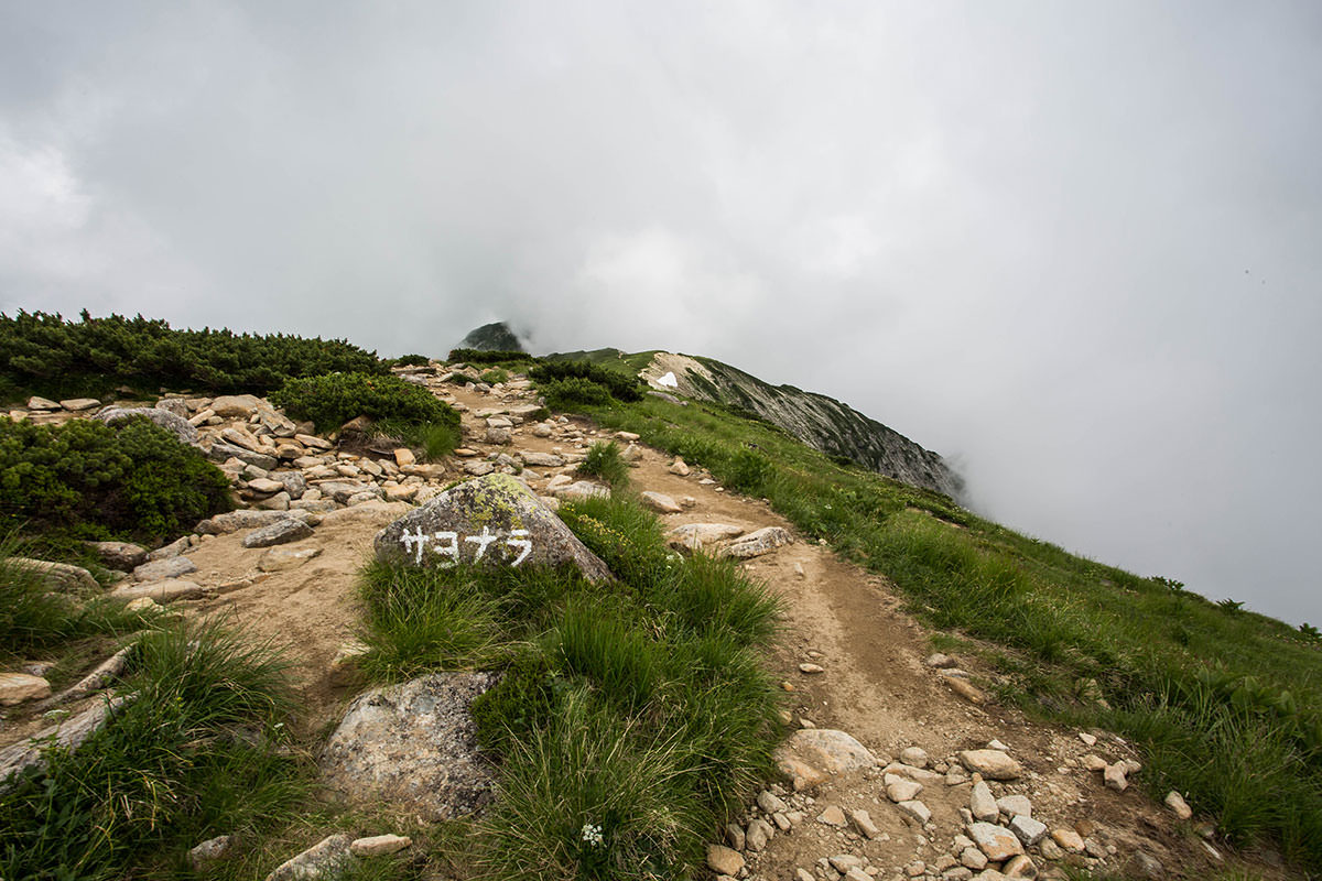 笠ヶ岳日帰り登山 8月 コースタイムの長い笠新道を登る 登山百景