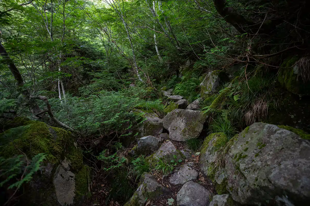 笠ヶ岳登山 笠ヶ岳-大きな石がたくさん