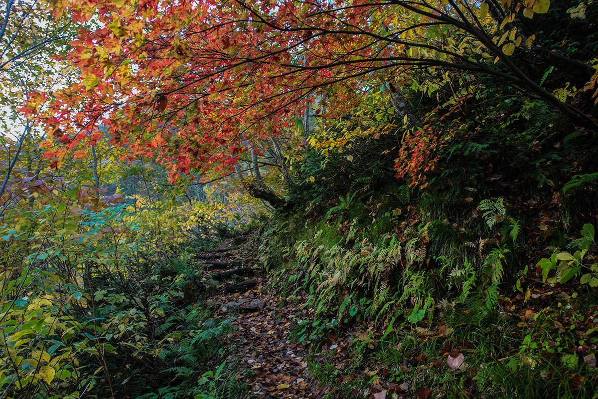 鹿島槍ヶ岳登山 紅葉がちょうど良い