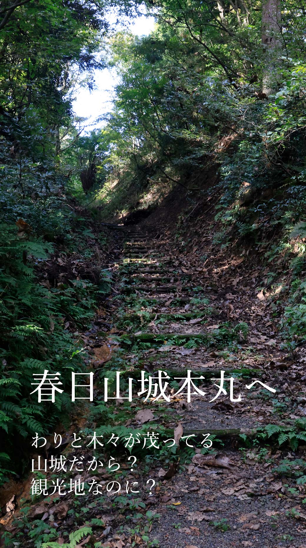 春日山 大手道