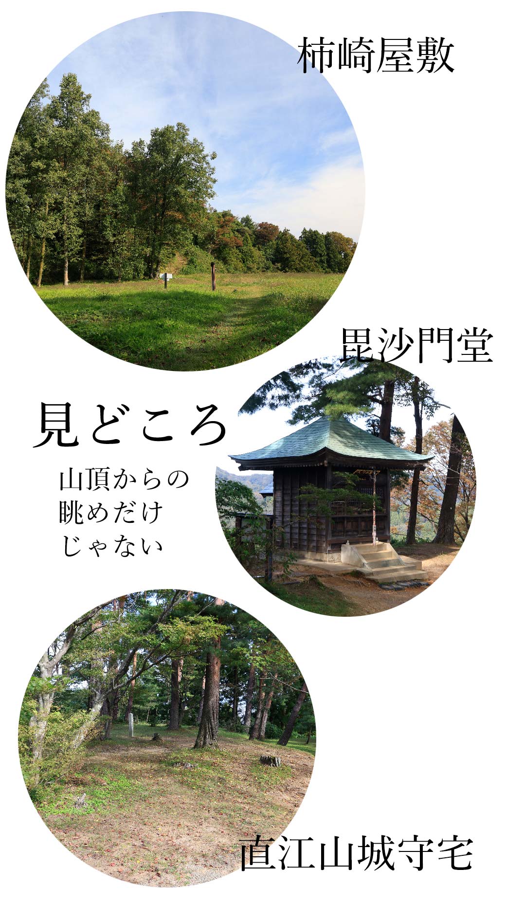 春日山 大手道