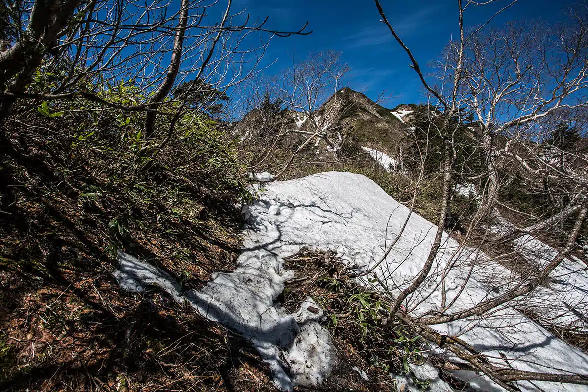 霞沢岳登山 霞沢岳-雪渓をトラバース