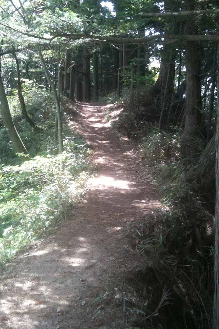 風越山　登山（今宮登山口） （5月）｜山頂近くの神社を見に行こう