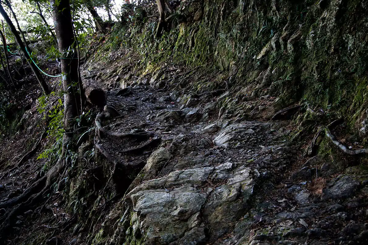 【金華山登山】金華山-けっこうデコボコとした道
