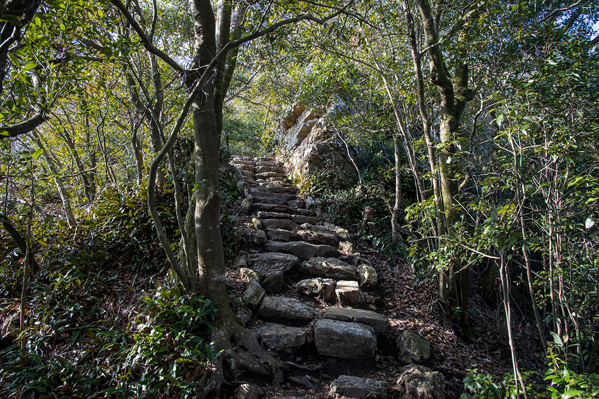 金華山-最後の階段