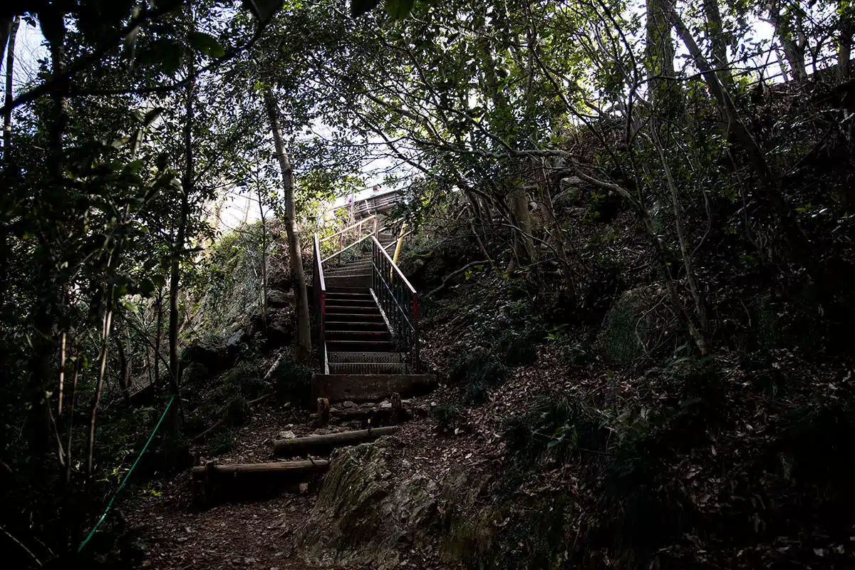 金華山登山 金華山-あの階段を登ったら山頂