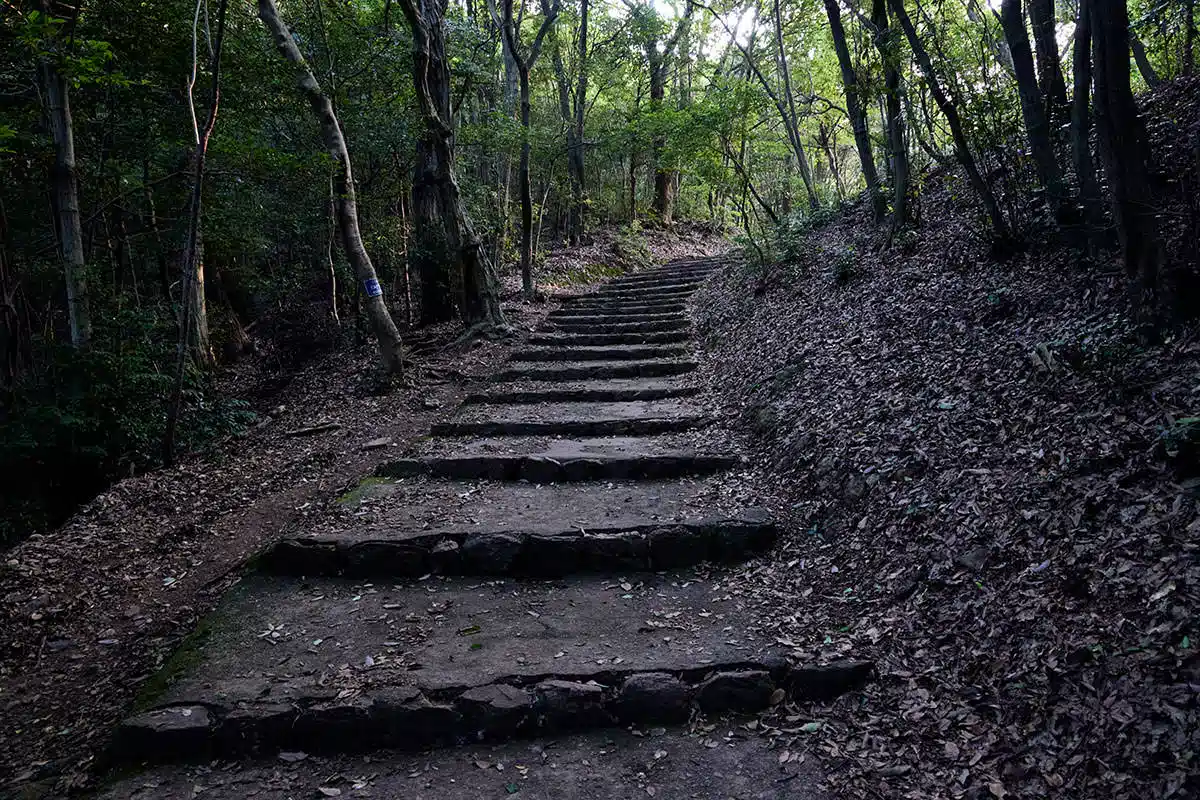 【金華山登山】金華山-階段が続く