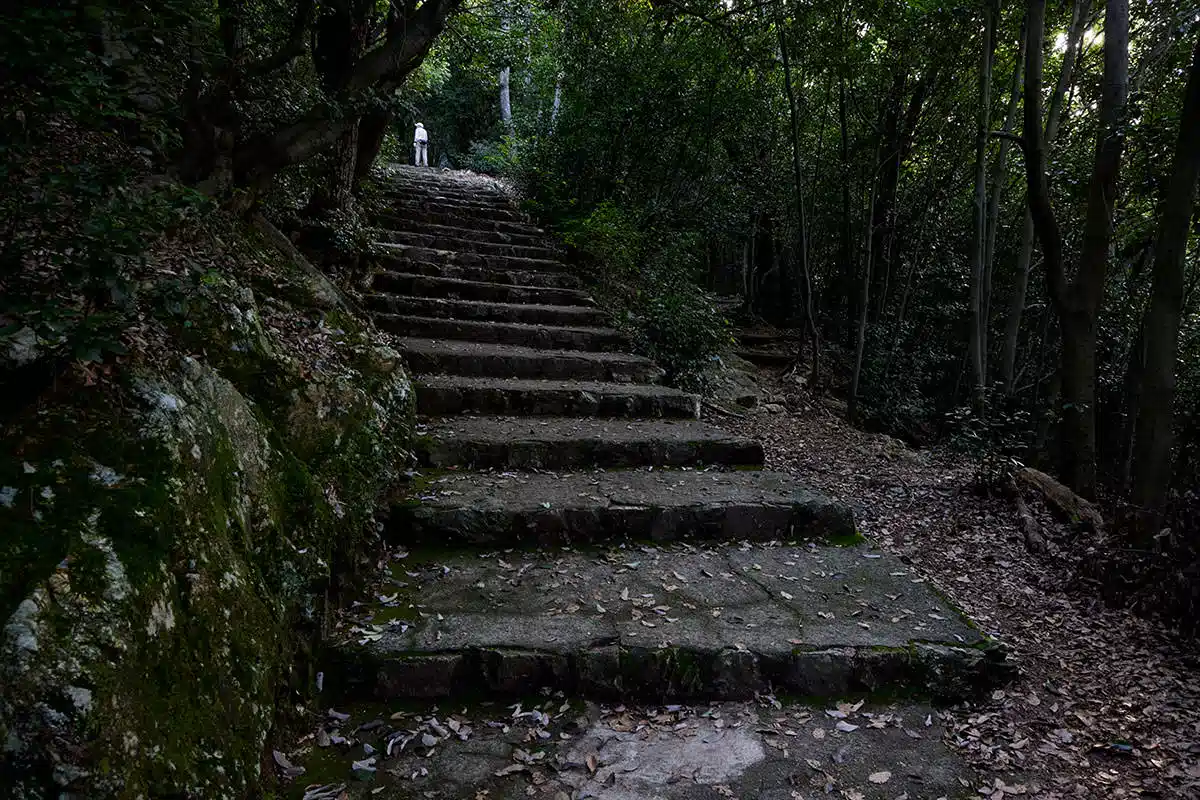 金華山登山 金華山-巻き道的に階段とは別の道もある