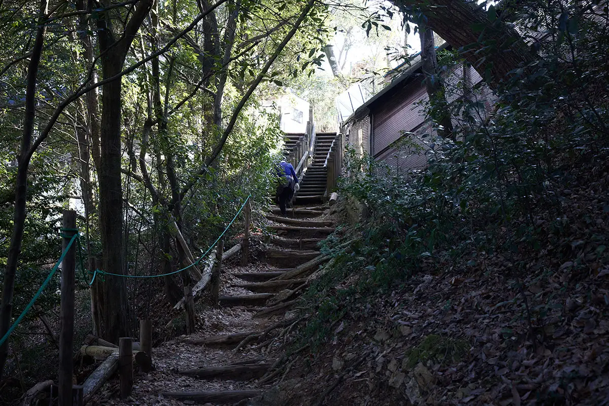金華山登山 金華山-あの木段を上がるとリス村
