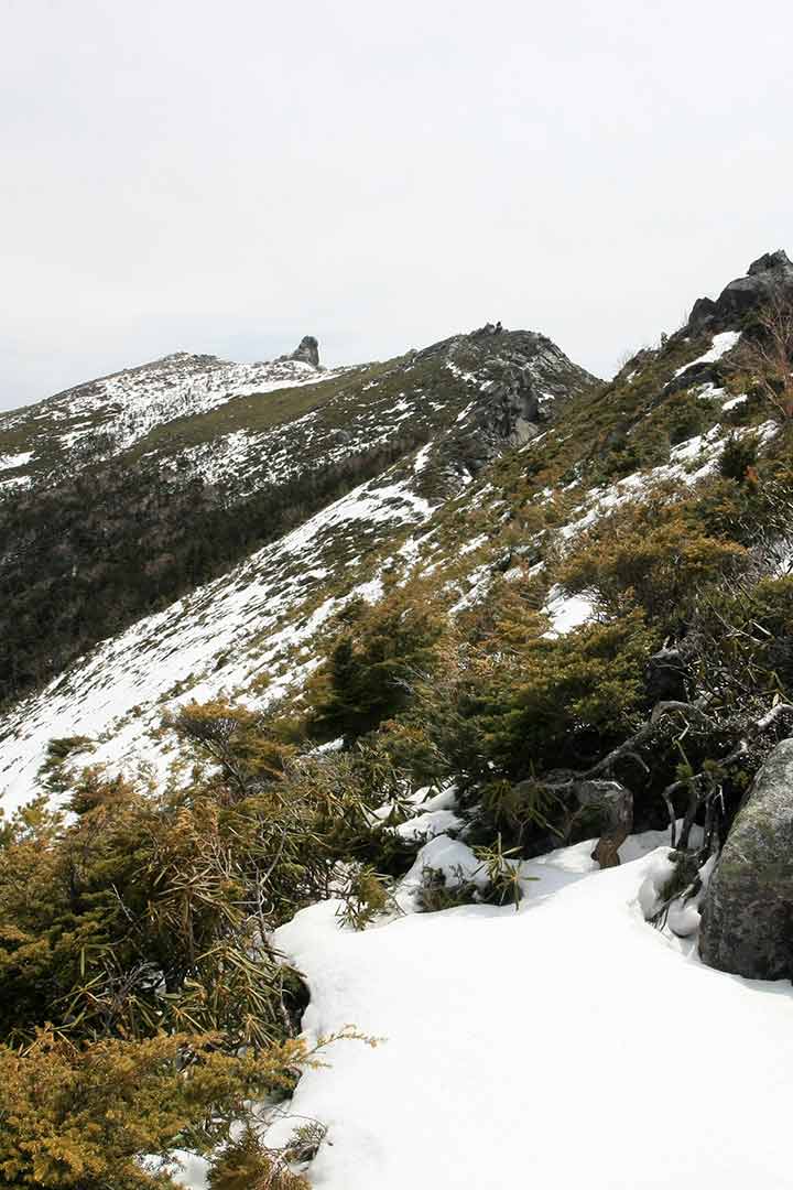 金峰山　残雪期登山（千代の吹上コース） （4月）｜大日岩を越えて雪の残る金峰山へ