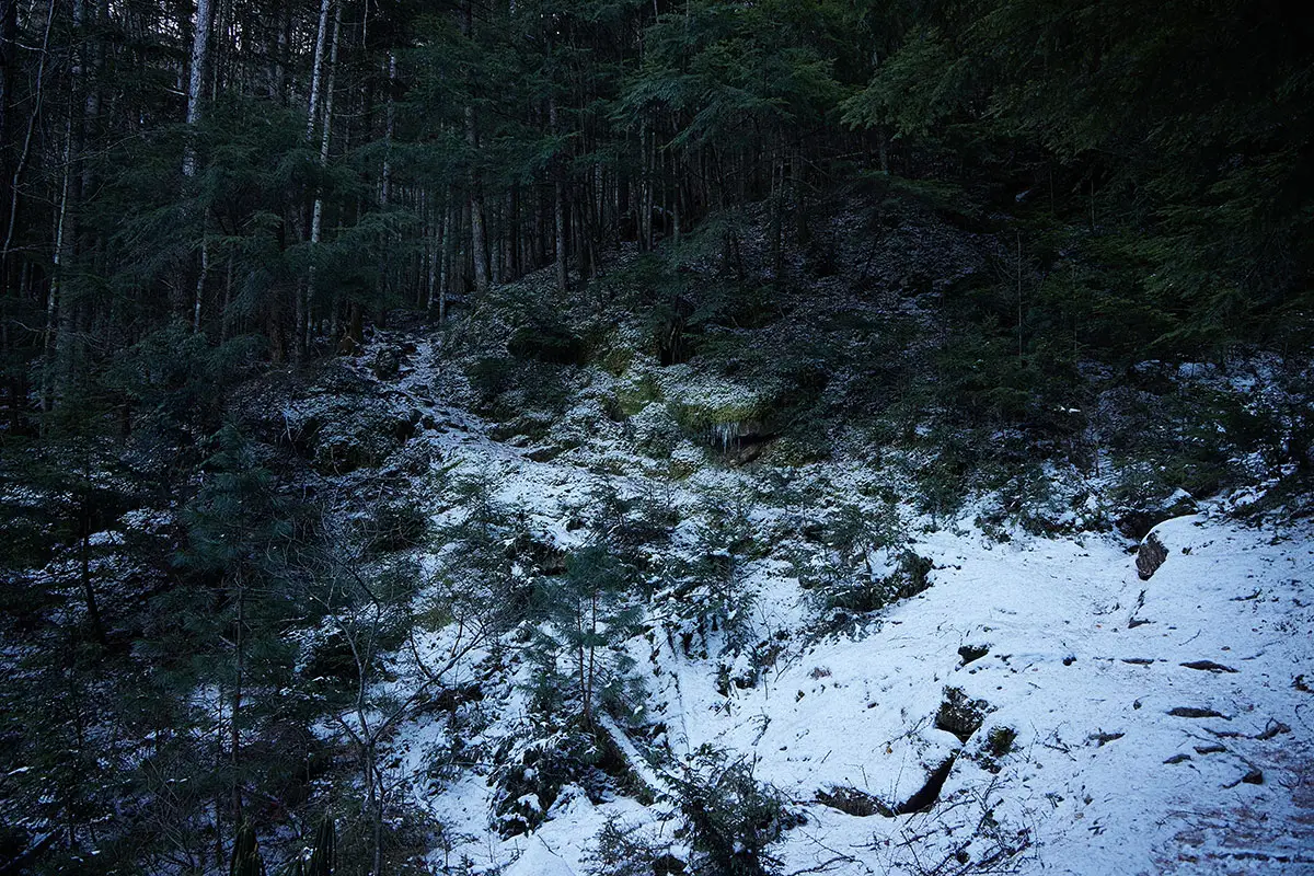 金峰山登山 金峰山-樹林帯の中でずっと薄暗い
