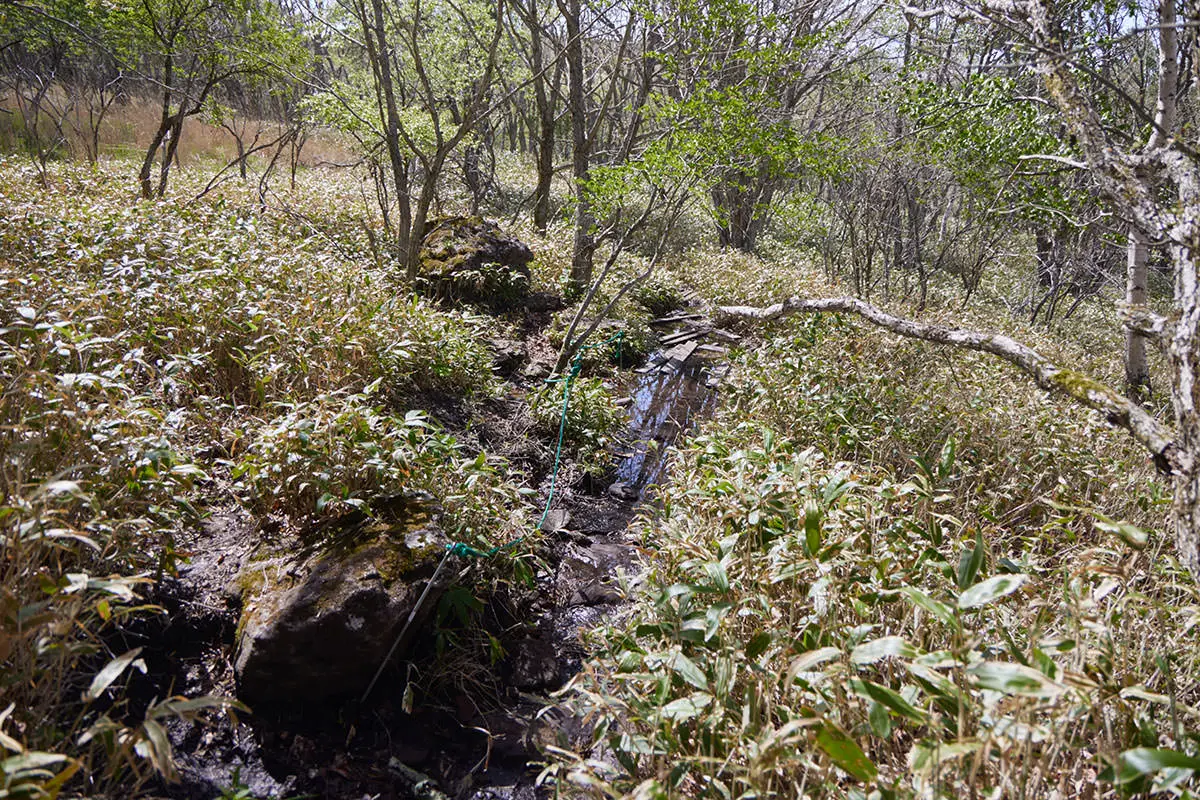 霧ヶ峰登山 霧ヶ峰-けっこう湿度高めで道には水たまり