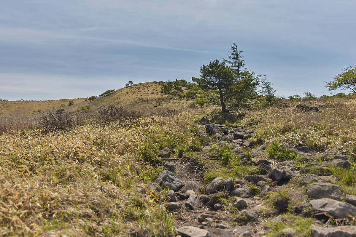 霧ヶ峰登山 霧ヶ峰-ほとんど木が生えていない