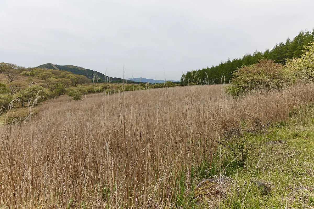 霧ヶ峰登山 霧ヶ峰-広い