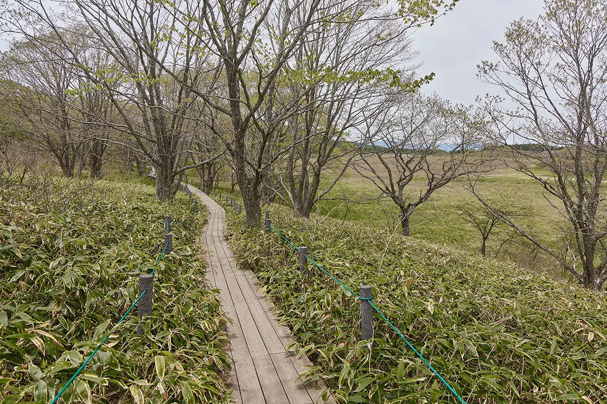 霧ヶ峰登山 霧ヶ峰-木道まで戻ってきた