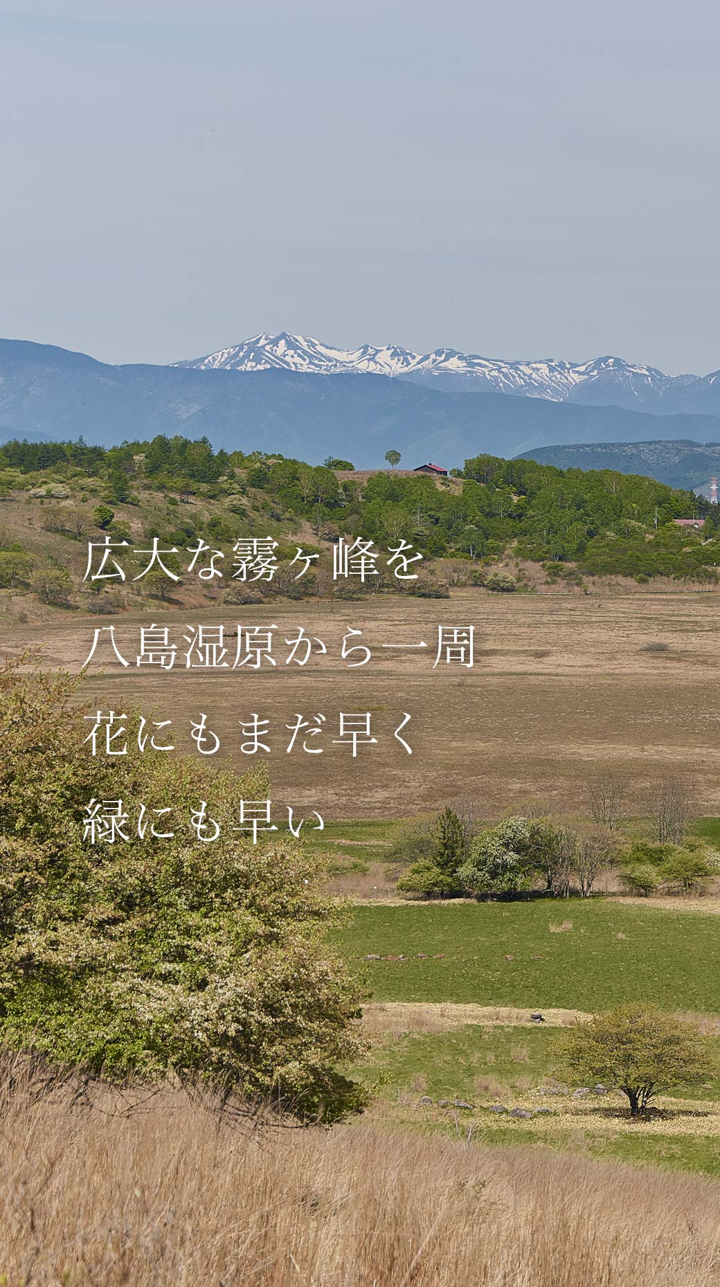 霧ヶ峰 八島湿原